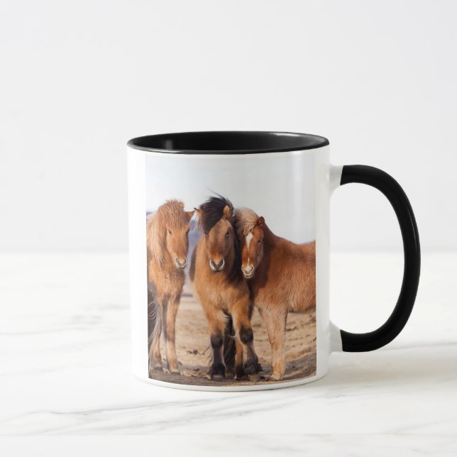 Tasse Cheval islandais en hiver (Droite)