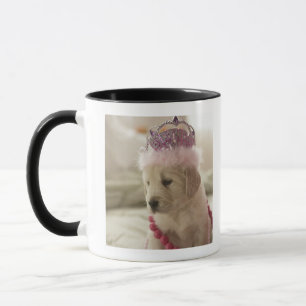 Tasse Chien avec des décorations sur le lit