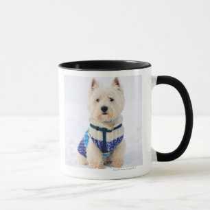 Tasse Chien blanc dans des vêtements dans la neige