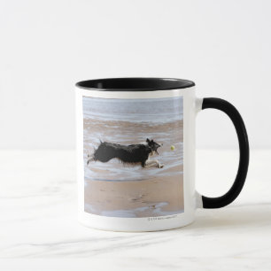 Tasse Chien chassant une boule à la plage