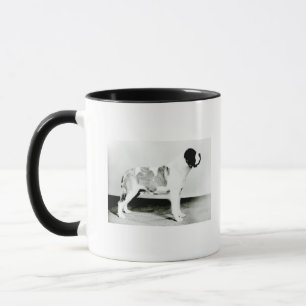 Tasse Chien de St Bernard