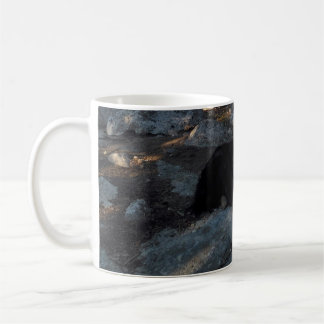 Tasse Chien Noir au camping de Pine