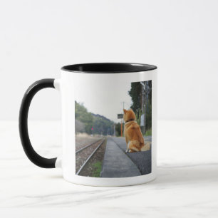 Tasse Chien se reposant sur la station de train