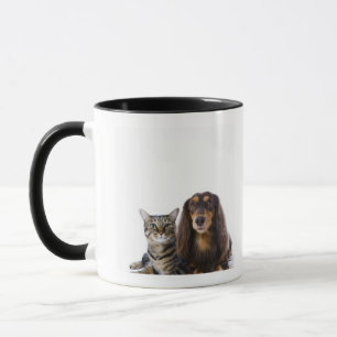 Tasse Chien (teckel) et chat (chat japonais) sur le