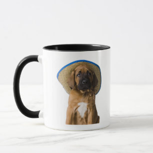 Tasse chiot dans un casquette de cowboy