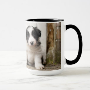 Tasse Chiot de border collie
