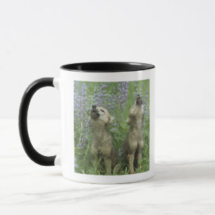 Tasse Chiots de loup hurlant dans le pré