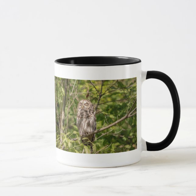 Tasse Chouette dorée (Droite)