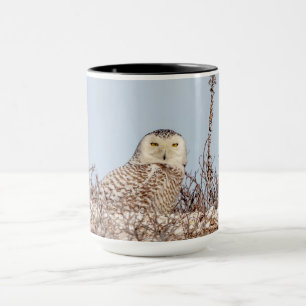 Tasse Chouette neige assise sur la plage