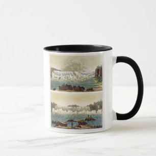 Tasse Chutes du Niagara, 1818 (gravure de couleur)