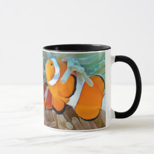 Tasse Clownfish