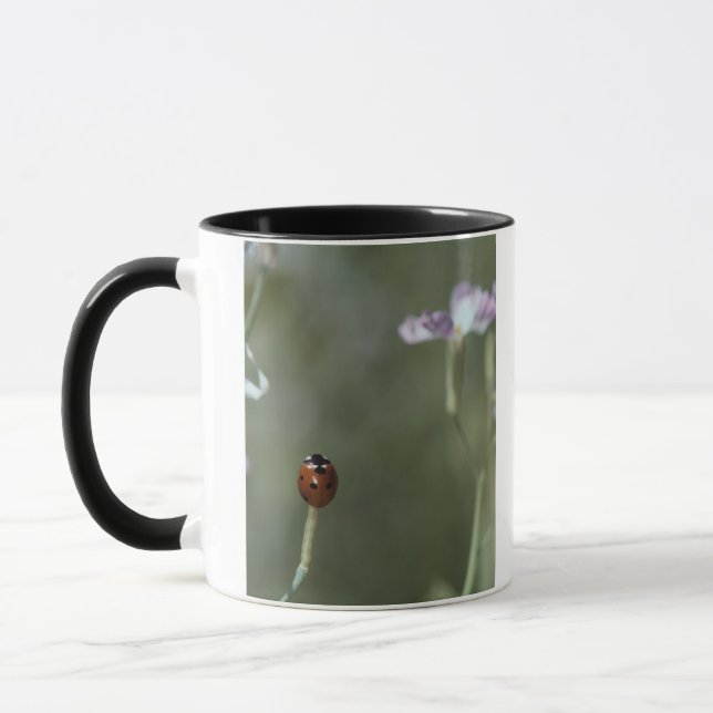 Tasse Coccinelle sur la tige (Gauche)