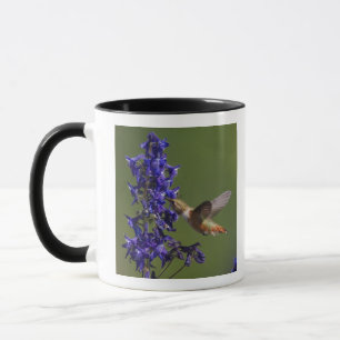 Tasse Colibri roux
