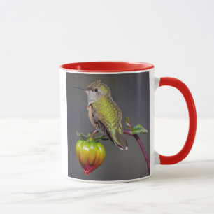 Tasse Colibri se repose sur un bouton de fleur
