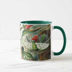 Tasse Colibris par Ernst Haeckel, Oiseaux Arbres Vintage