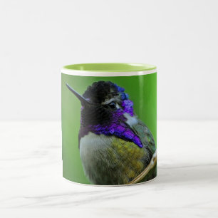 Tasse colorée de colibri