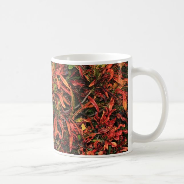 Tasse colorée de Croton (Droite)