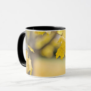 Tasse Combo