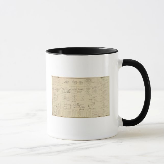 Tasse Commande, magasins, etc. (Droite)