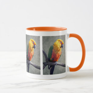 Tasse Conure de Jenday