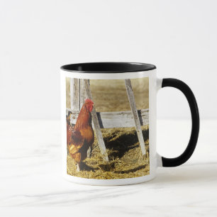 Tasse Coq Rhode Island Red