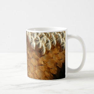Tasse - Coques de graines de tournesol