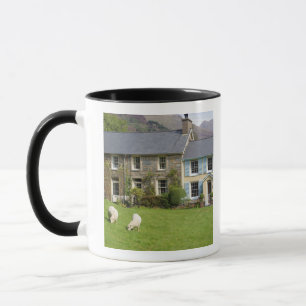 Tasse Cottages, Beddgelert, Gwynedd, Pays de Galles