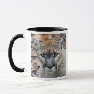 Tasse Couguar, lion de montagne, panthère de Floride, Pu