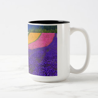 tasse couleur