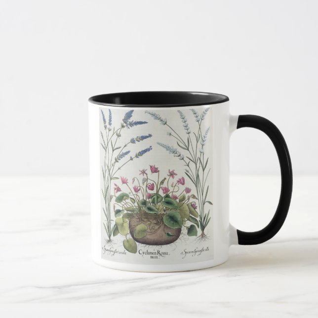 Tasse Cyclamen et lavande : 1.Cyclamen Romanum ; 2.Spica (Droite)