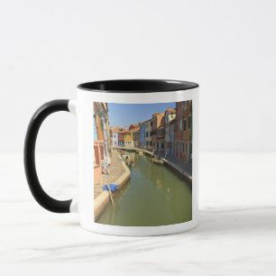 Tasse Cygnes dans un canal, île de Burano, Venise, Itali