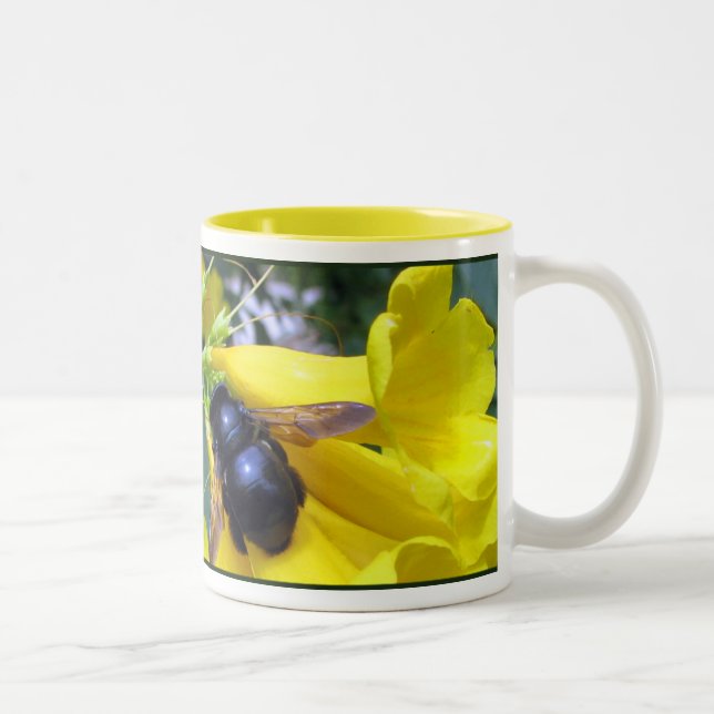 Tasse d'abeille d'Esperanza (Droit)
