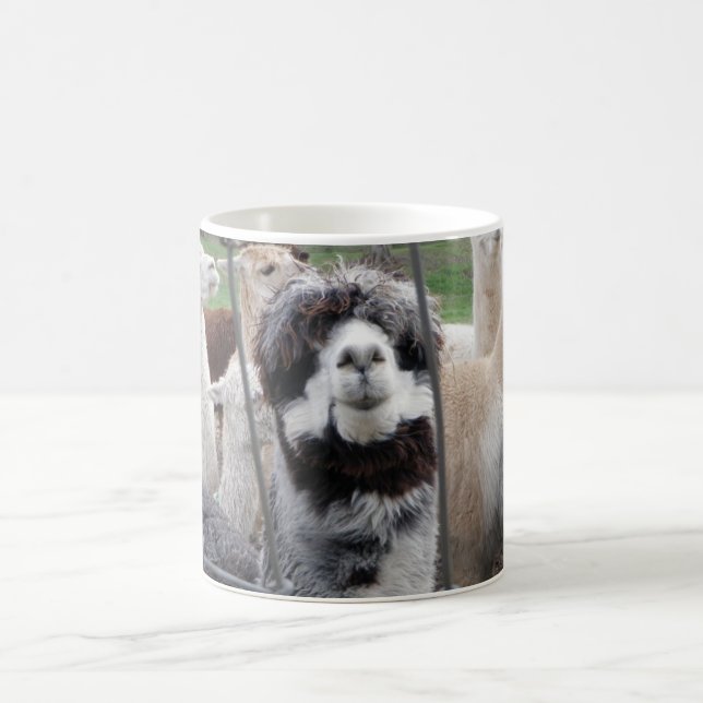 Tasse d'alpaga :) (Centre)