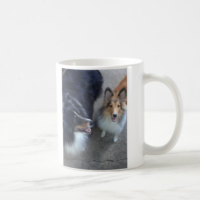 Tasse d'amis de Sheltie (Droite)