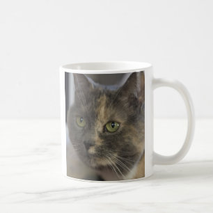 Tasse d'amour de chat