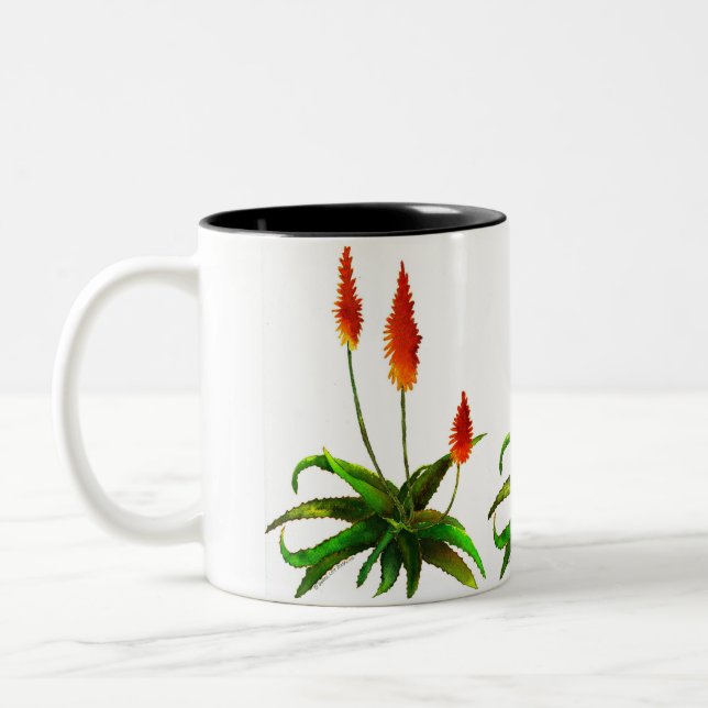 Tasse d'aquarelle d'aloès (Gauche)