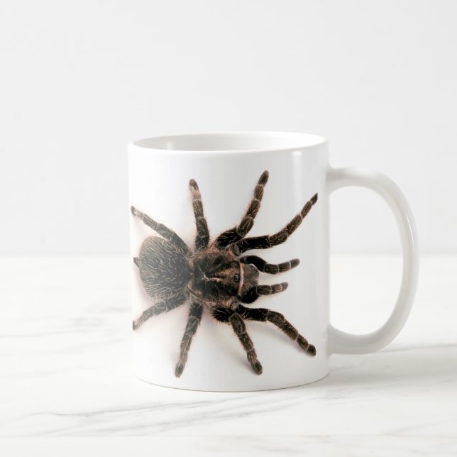 Tasse d'araignée de tarentule (Droite)