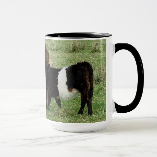 Tasse Dartmoor a ceinturé la vache et le veau à Galloway (Droite)