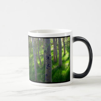 Tasse d'Aspen
