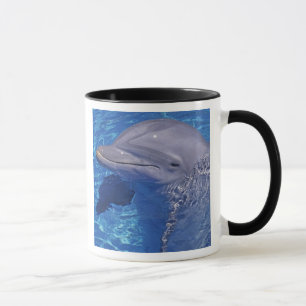 Tasse Dauphin à gros nez, Tursiops Truncatus