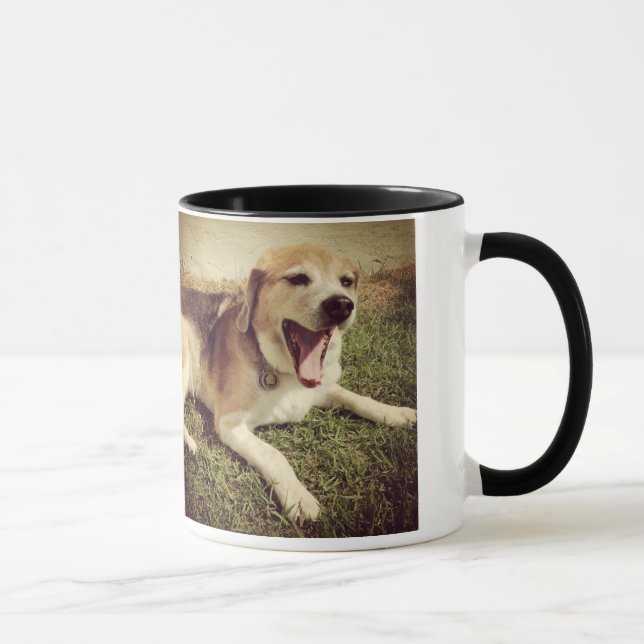 Tasse de baîllement de chien (Droite)