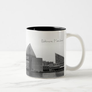 Tasse de Baltimore