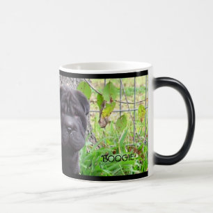 Tasse de boogie