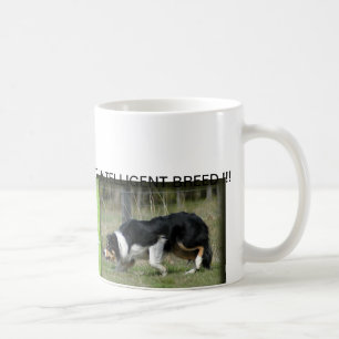 TASSE DE BORDER COLLIE