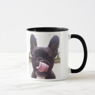 Tasse de bouledogue français