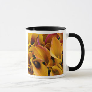 Tasse De brillantes callas colorés au