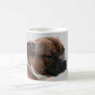 Tasse de bull-terrier du Staffordshire