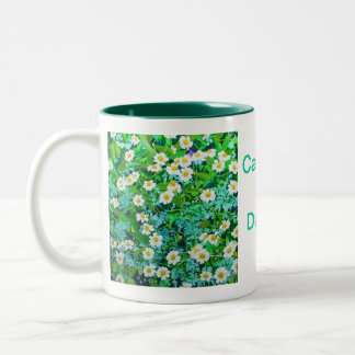 Tasse de café
