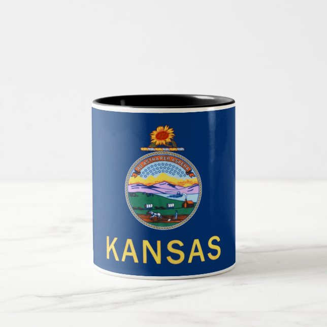 Tasse de café à deux tons de drapeau d'état du (Centre)