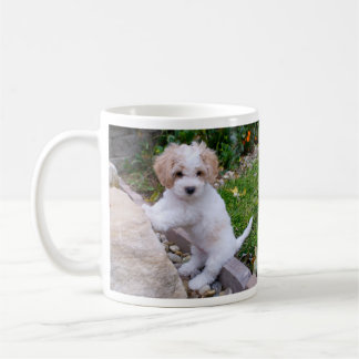 Tasse de café adorable de chiot